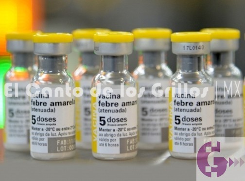 Muertes por fiebre amarilla crecen con fuerza en #Brasil