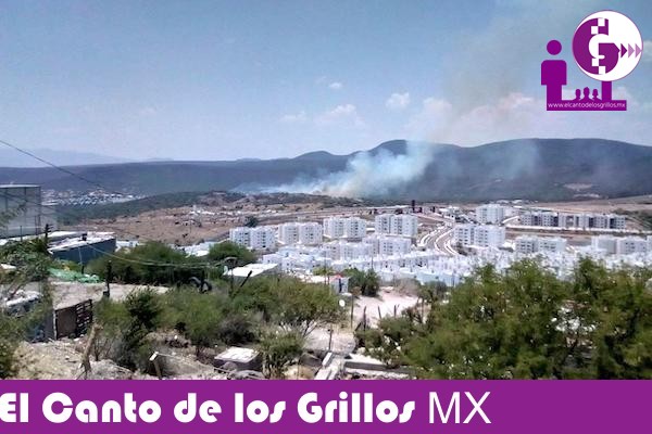 No más cambios de uso de suelo en terrenos forestales incendiados: Astudillo