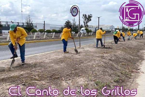 Impulsa Marcia Solórzano iniciativa para jornadas de reforestación en #SJR