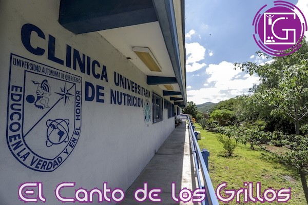 Importante consultar a especialistas ante consejos alimenticios de Internet: UAQ