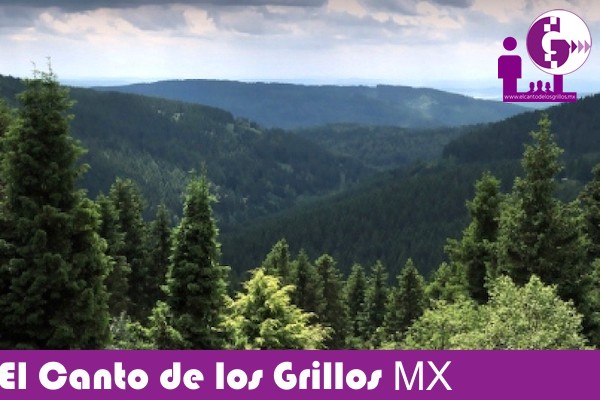 Estiman que reestructura de @Conabio muestra abandono de agenda ambiental