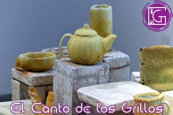 Alista MACQ exposición “Colmena: hogar compartido” de Gaby Deisolbi