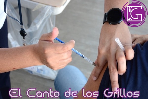 Arranca campaña de vacunación contra influenza 2024-2025