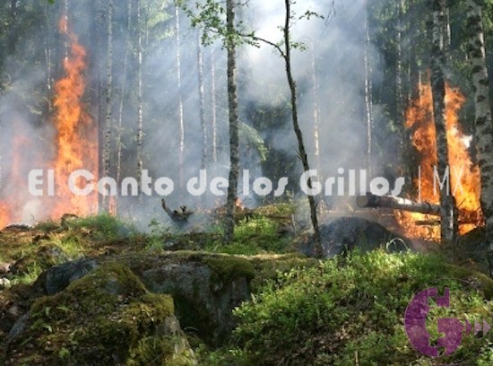 #Amazonas: el oscuro objeto del deseo de las multinacionales