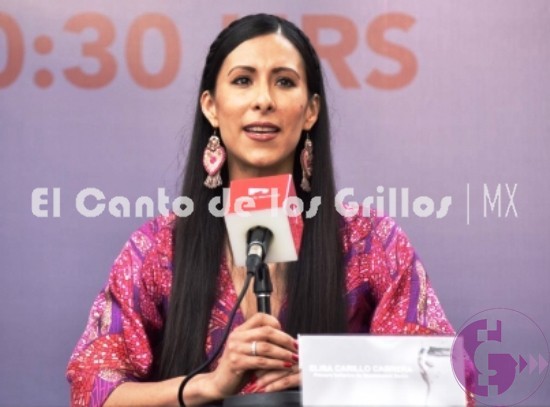Aprovechar el talento de niños, objetivo de Elisa Carrillo