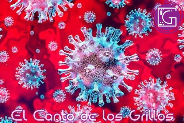 Querétaro, con 99 mil 445 contagios de #coronavirus