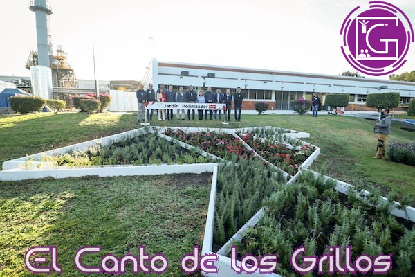 Inaugura Roberto Cabrera jardín polinizador en compañía papelera