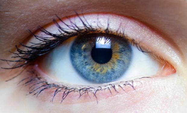 Cuando parpadeamos, nuestro cerebro trabaja con mayor potencia