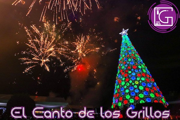 Ante miles de personas, encienden mega pino navideño en #SJR