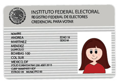 1 de marzo, fecha límite para recoger credencial de elector: INE