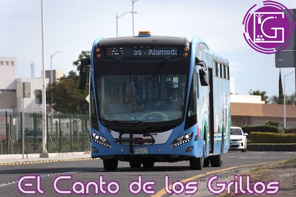 A partir de este lunes se integran 15 nuevas unidades a ruta T10 de Qrobús