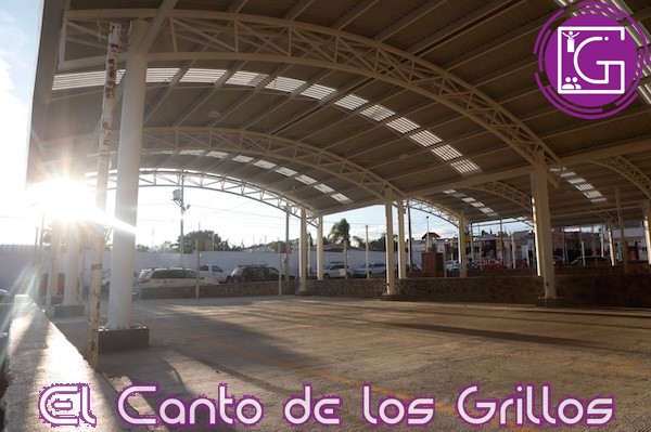 Entrega Luis Nava techumbre e iluminación del tianguis Cuicatecos en Cerrito Colorado