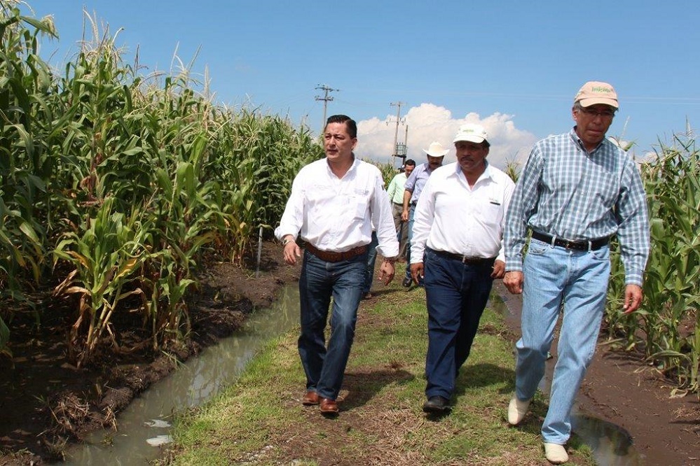 Apoyará Sagarpa proyectos dirigidos a la tecnificación de riego