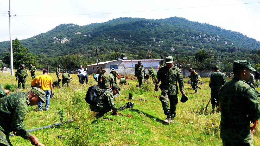 Realizan en Huimilpan reforestación permanente en rescate de áreas verdes