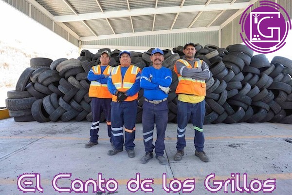 Recibe #Corregidora reconocimientos por recolección de llantas usadas