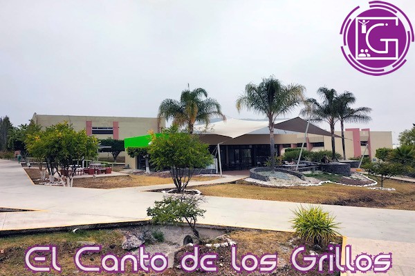 Impulsa UTSJR actividades culturales para concretar Centro de Formación Integral