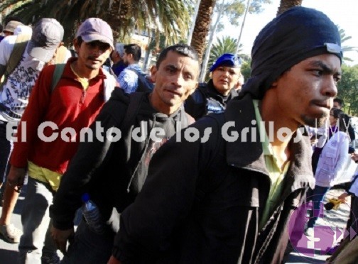 Hay más de dos mil #migrantes en el estadio Jesús Martínez “Palillo”