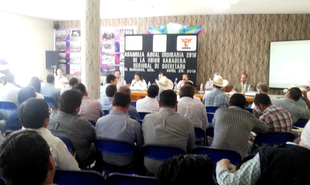 Alejandro Ugalde, nuevo presidente de la UGRQ