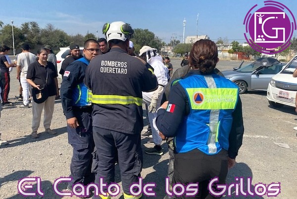 Atienden incidente con abejas en el Parque Bicentenario