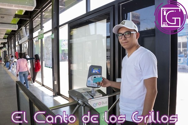 Arranca pago con tarjeta bancaria en todas las rutas troncales Qrobús