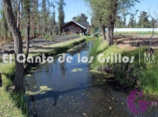 #Chinampas, ejemplo de producción sustentable en la CdMx
