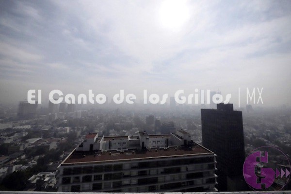 Se activa contingencia ambiental en la #CdMx; mañana no circulan autos holograma “2”