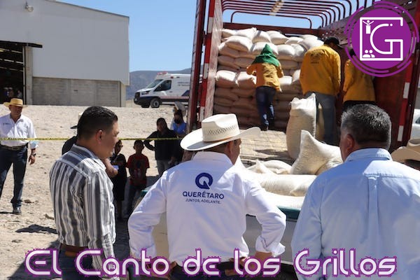 Campesinos de Peñamiller reciben más de 40 toneladas de maíz