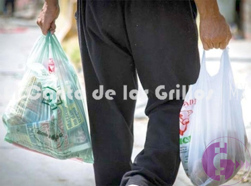 Empresarios proponen norma técnica para regular las bolsas de plástico