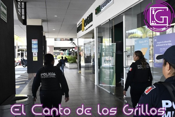 Reporta #Corregidora saldo blanco durante el Buen Fin 2024