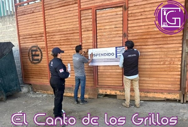 A través del Plan Orden se han intervenido 75 establecimientos por irregularidades