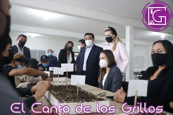 Más de 200 personas en situación de calle han recibido #apoyo para salir adelante: Luis Nava