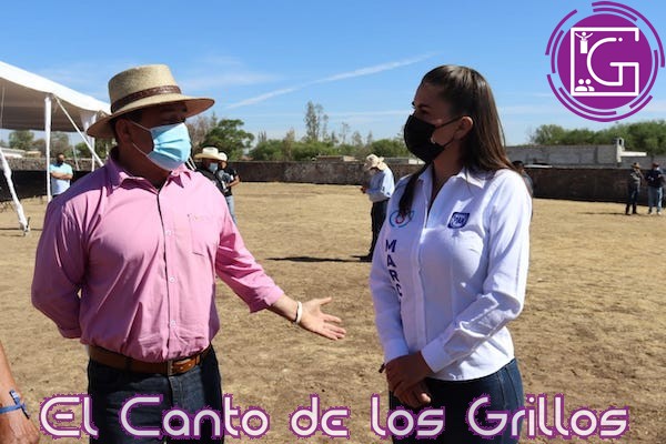 Gobierno federal condena al olvido a ganaderos y agricultores: Marcia Solórzano