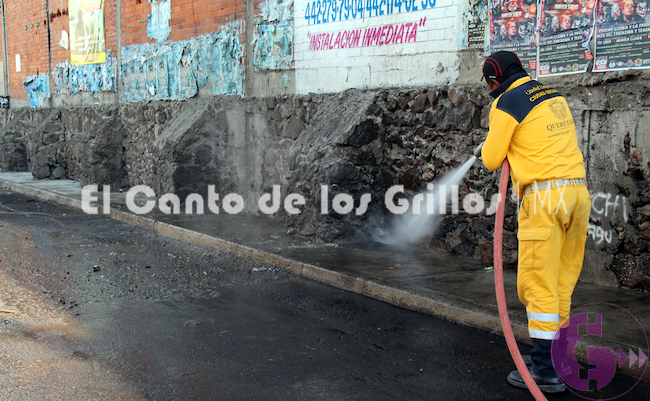 Aplican operativo de limpieza y ordenamiento en inmediaciones de la Central de Abastos de #Querétaro