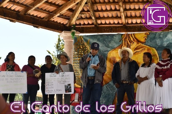 Promueve UAQ soberanía alimentaria y preservación del maíz en #Amealco