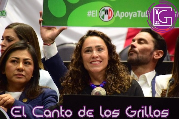 7 de cada 10 animales domésticos, sufren de maltrato: Abigail Arredondo