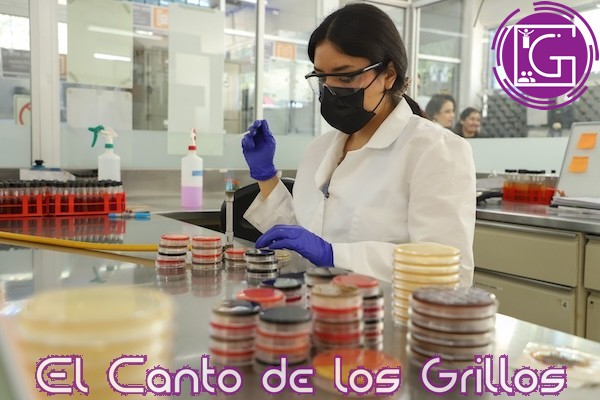 Premia UAQ a ganadores de la Olimpiada Estatal de Química