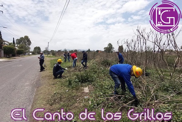 Brindan curso de Combatiente Forestal a brigadistas comunitarios en #Huimilpan