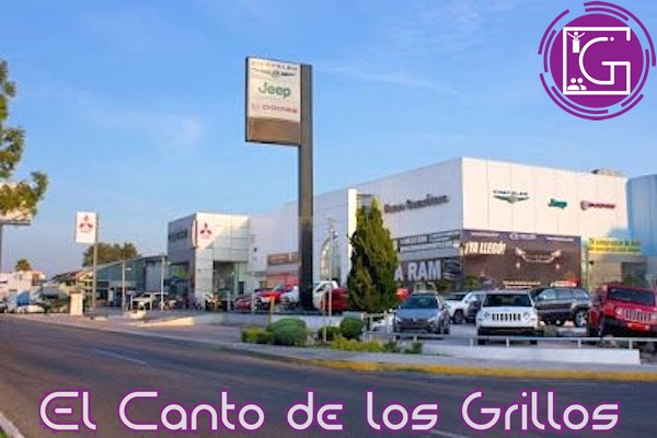 Crece casi 24% la venta de vehículos en el estado