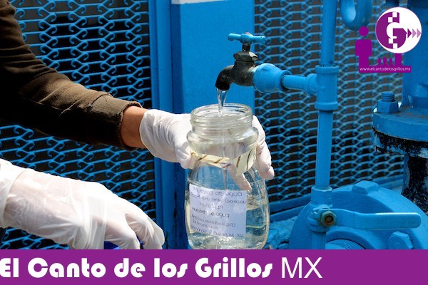 Realizan estudiantes de @UT_Corregidora #prototipo a base de hongos para mejoramiento de aguas pluviales